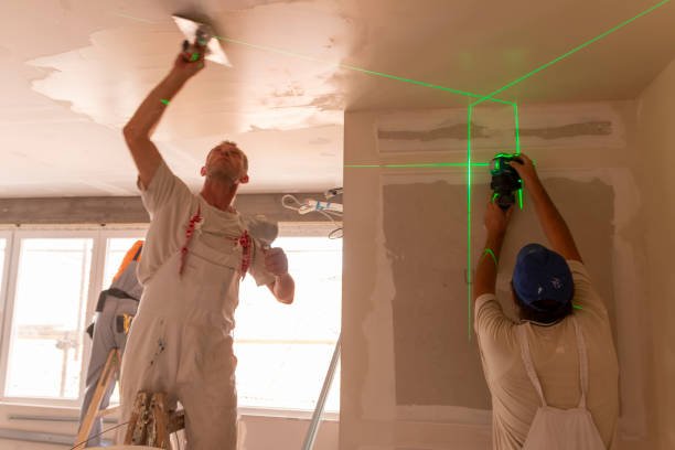 Best Fire-Damaged Drywall Repair  in Nettleton, MS